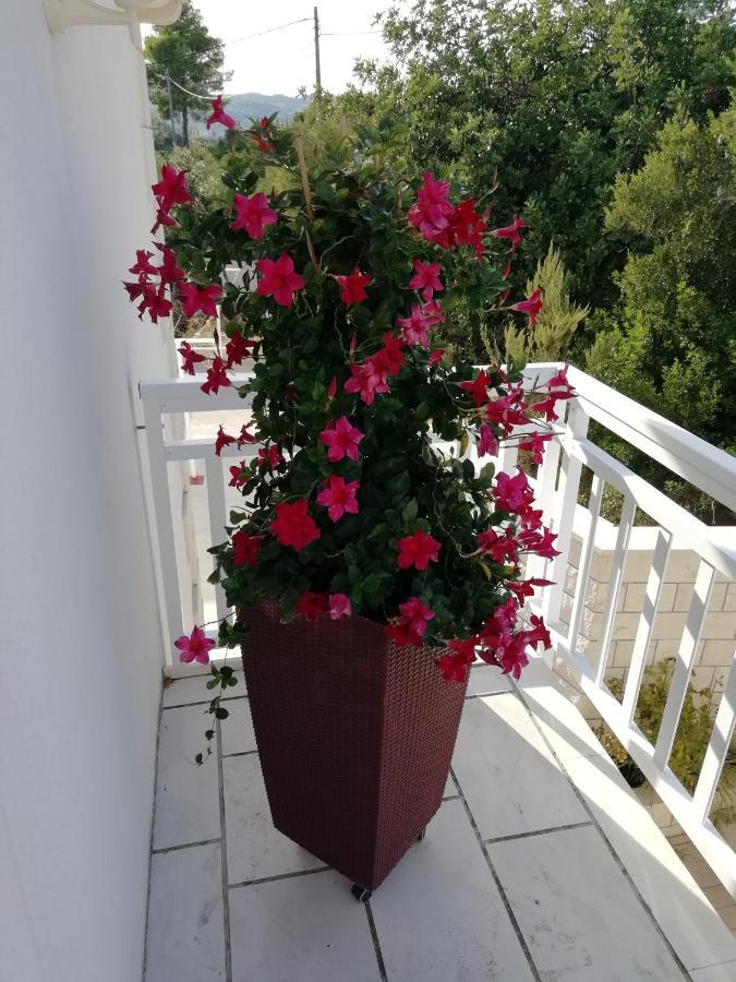 Apartments Ivona Lumbarda Dış mekan fotoğraf